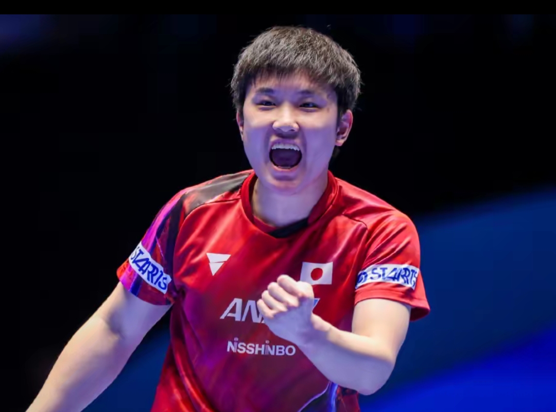 护具位移影 护具位移影